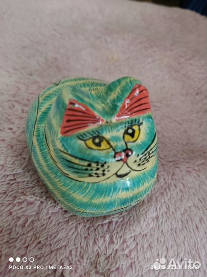 Котик из Индии