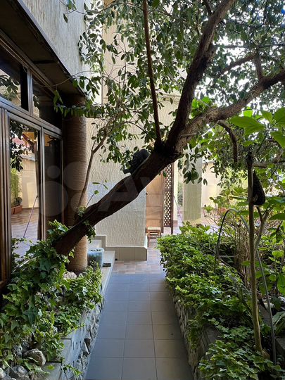 Комната 20 м², 2/4 эт.