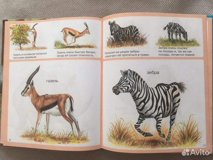 Твоя первая энциклопедия «Животные»