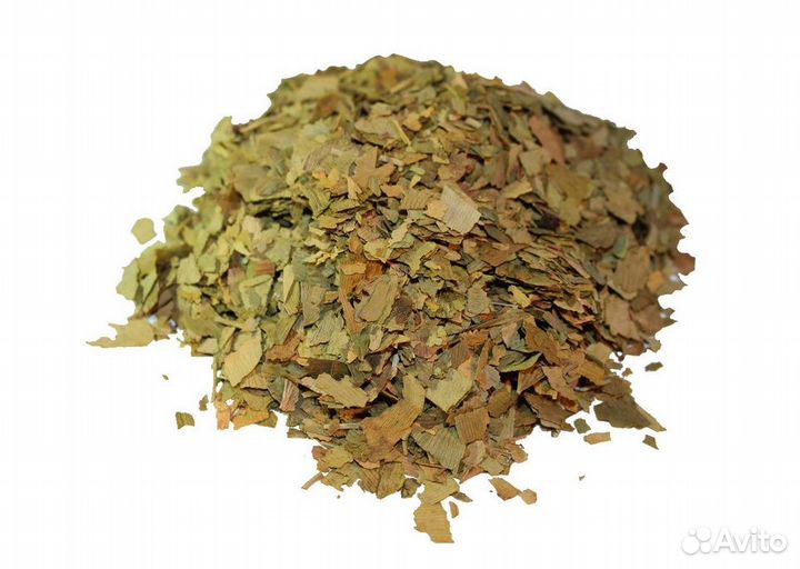 Гинкго билоба