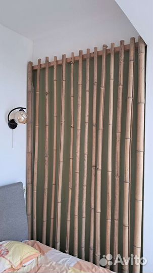 Бамбуки декоративные