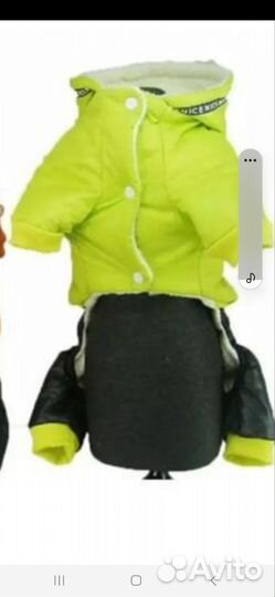 Комбинезон для маленьких собак,кошек размер М