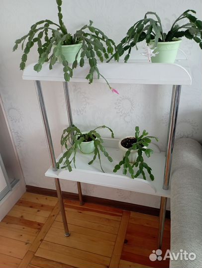 Полка для цветов и рассады