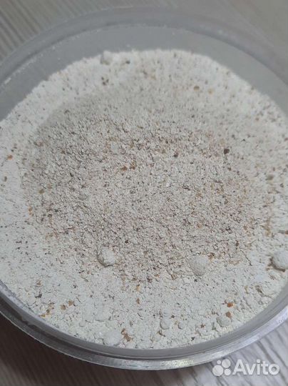 Кальций для улиток