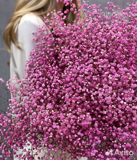 Гипсофила Букет из гипсофилы