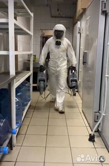 Травим тараканов клопов с гарантией