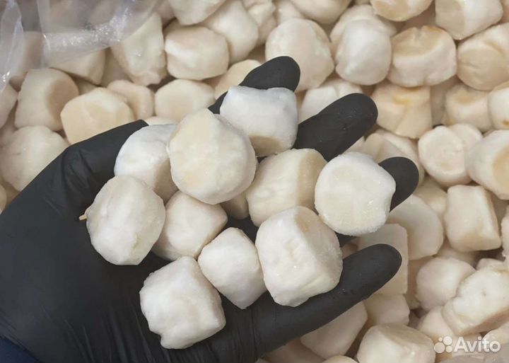 Гребешок филе