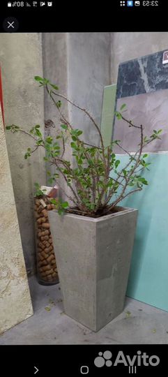 Вазон для цветов на 17 литров, авито доставка 1