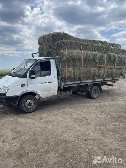 Сено в рулонах и тюках