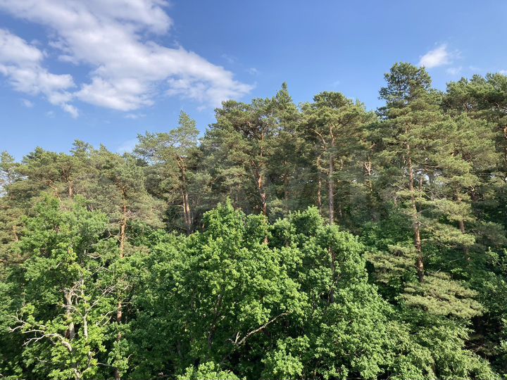 Квартира-студия, 28 м², 6/7 эт.