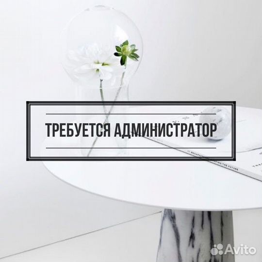 Администратор, Помощник администратора