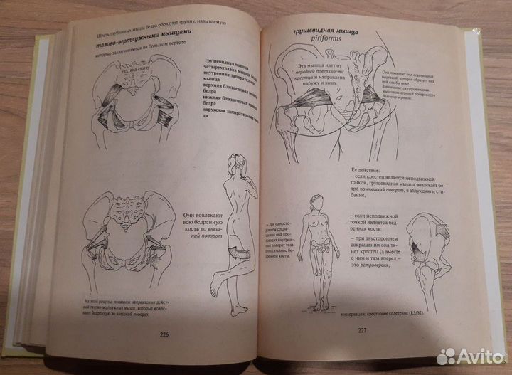 Кале-Жермен Бландин Твое тело