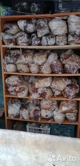 Рыбные головы