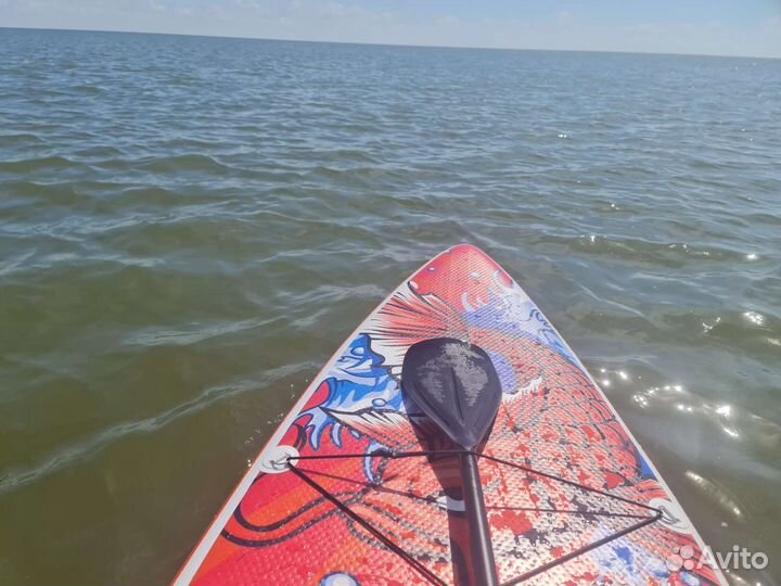 Sup board / Сапборд аренда с автомобильным насосом