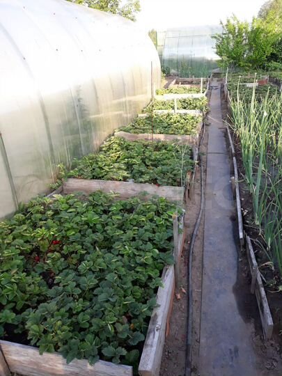 Дача 49 м² на участке 6 сот.