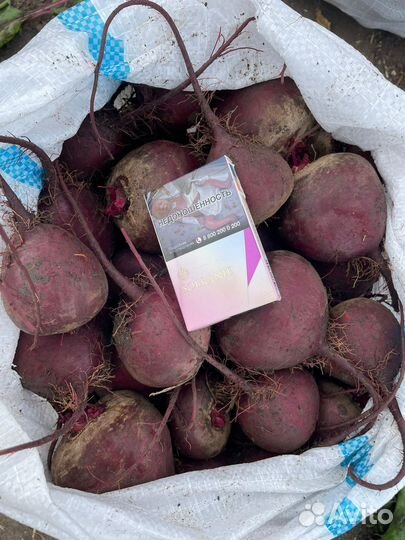 Свекла от 20 тонн наличка безнал с НДС