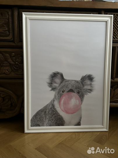 Картина постер коала