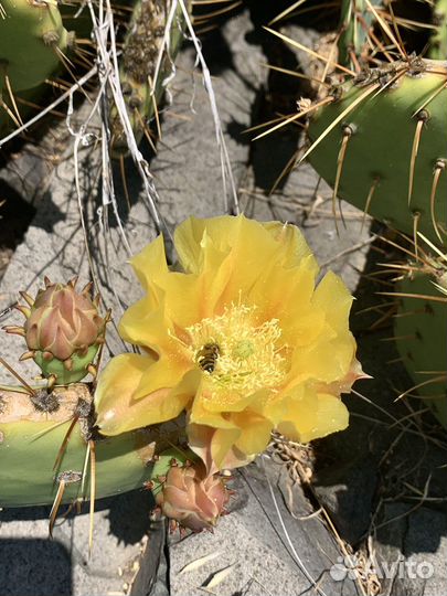 Путешествие