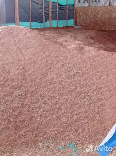 Продам ячмень, овёс,пшеницу