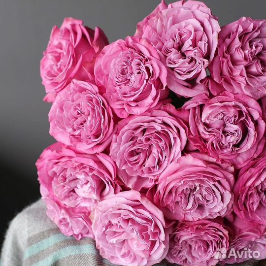 Розы Цветы Букеты с доставкой 21 33 51 по Сургуту