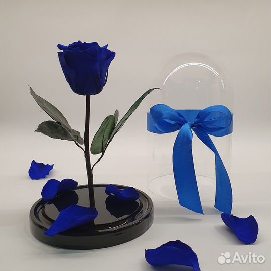 Розы в колбе огромный выбор