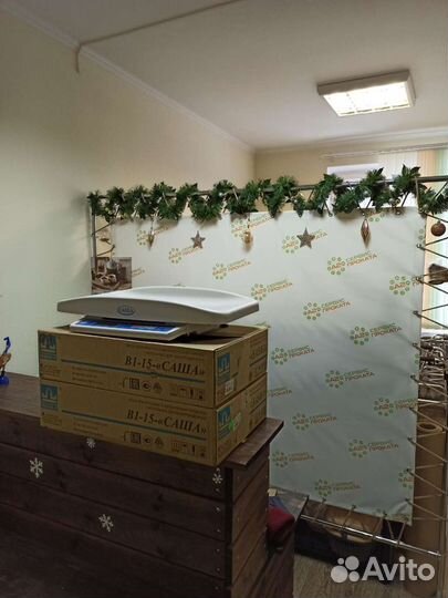 Детские весы Саша. Аренда. Прокат. Продажа бу