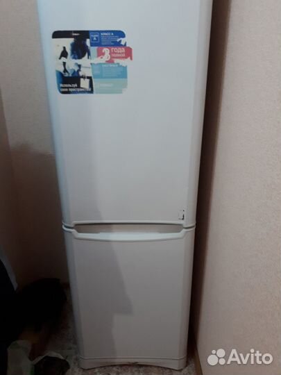 Холодильник Indesit
