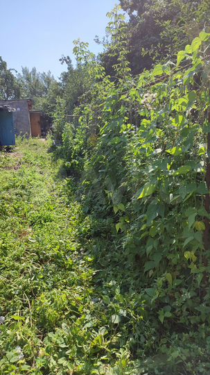 Участок 4,6 сот. (СНТ, ДНП)