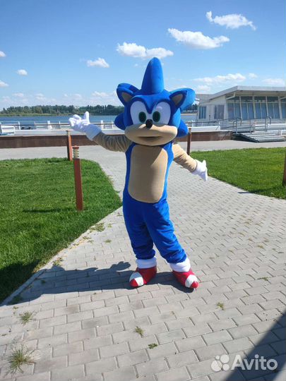 Ростовая кукла Соник