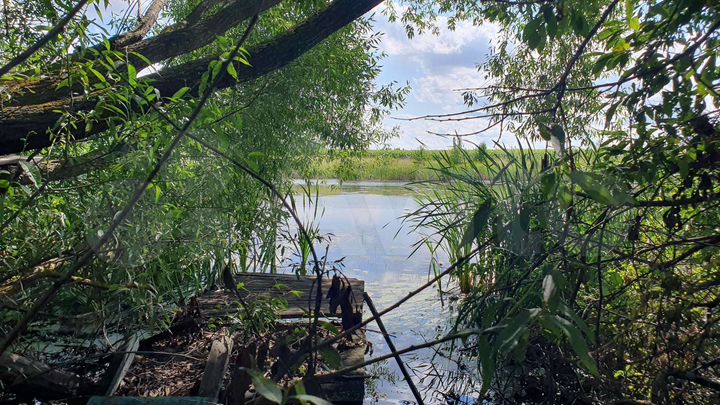 Участок 94 сот. (ИЖС)