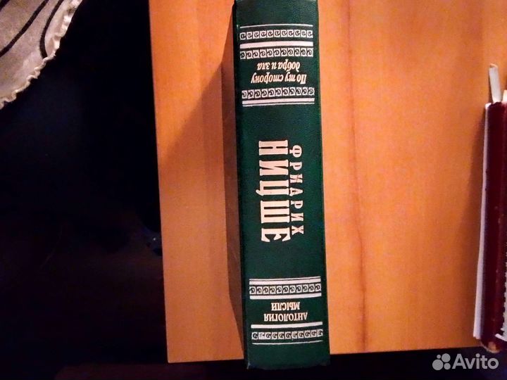 Фридрих Ницше. По ту сторону добра и зла