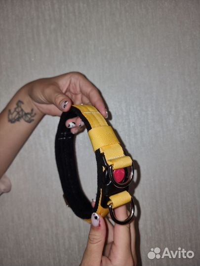 Амуниция для собак