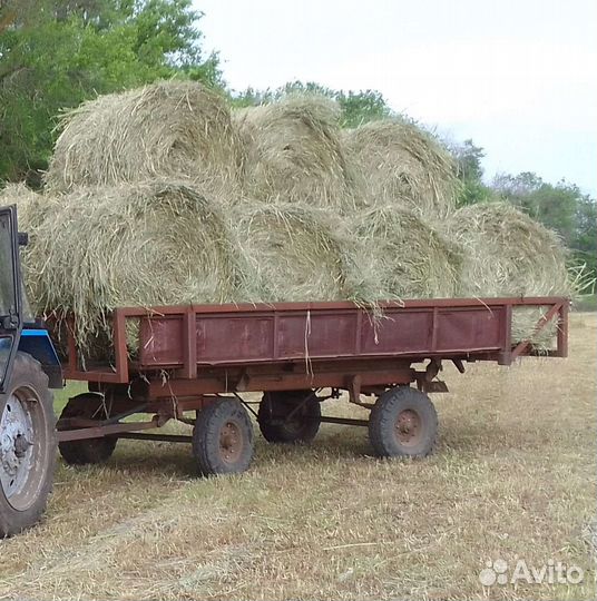 Продам сено в тюках