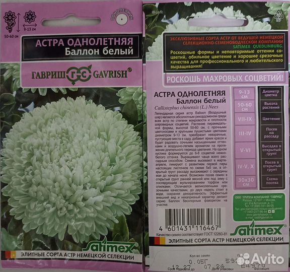 Астры кустовые