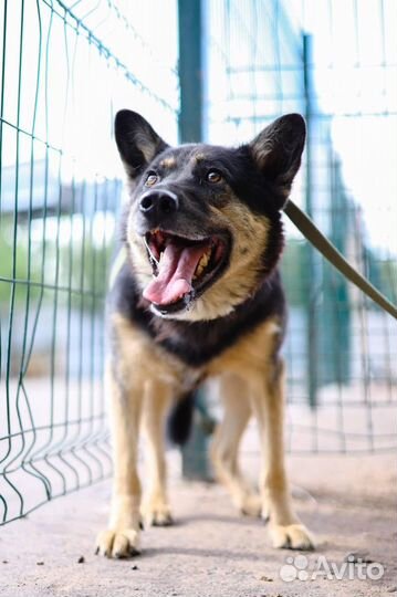 Я тоже хочу жить дома