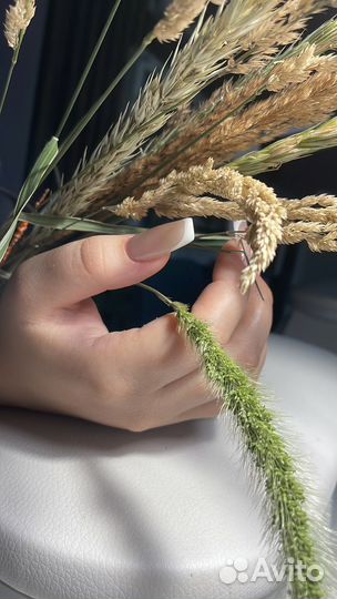 Мастер маникюра /педикюра Авиаторов 66