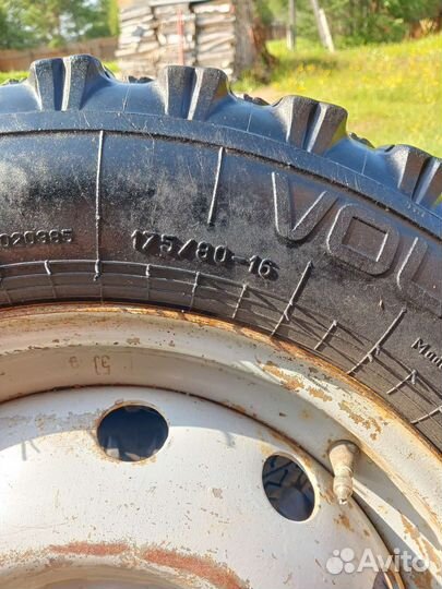 Барнаул ВЛИ 5 175/80 R16 22B