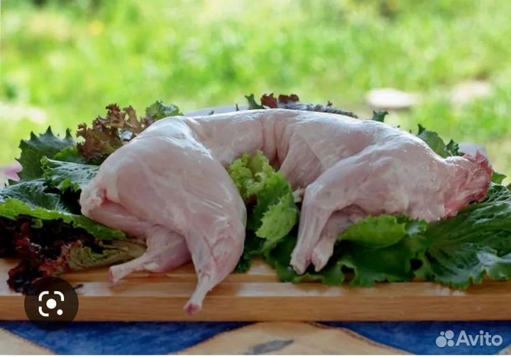 Продам мясо кролика
