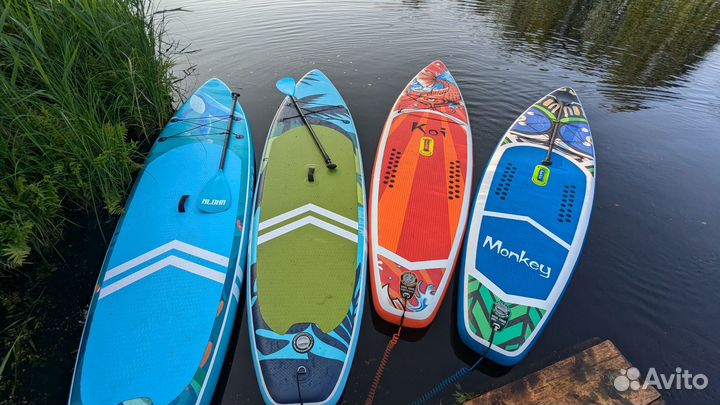 Аренда сап борда до 4 шт враз
