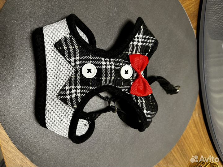 Поводки, ошейники, шлейки для маленьких собачек