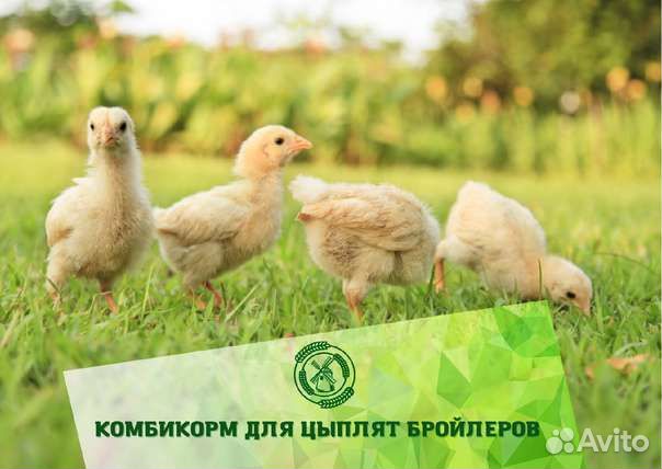 Комбикорма Белгородские