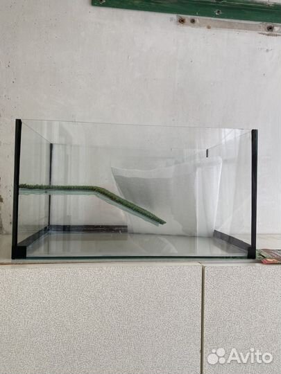 Аквариумы и грунт