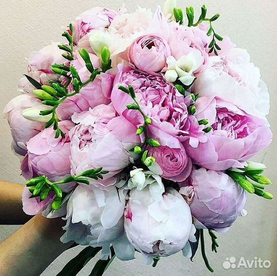 Пионы Розы Доставка