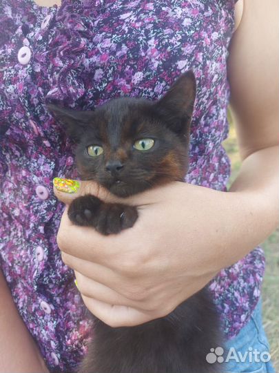 Мальчик шустрый, активный