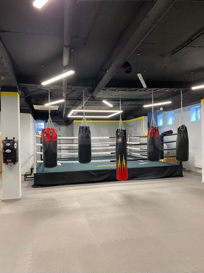 Сдам, ПСН, ремонт, цоколь, Южный, 230 м2