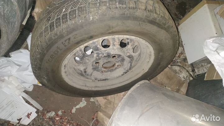 Тапки на акцент