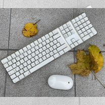 Клавиатура и мышь Apple iMac (Mac mini)