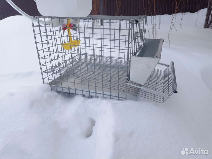 Клетки для перепелов