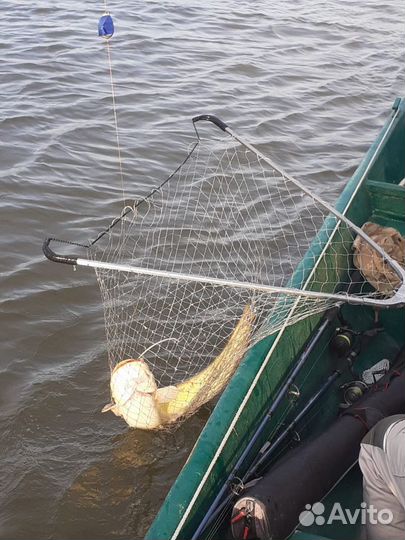 Рыбалка в Астраханской области