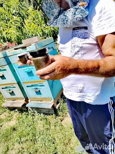 Медовое средство от глистов с травами